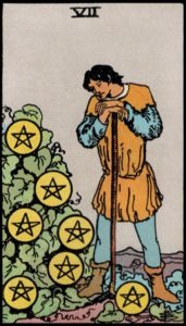 Seven of Pentacles(UpRight)